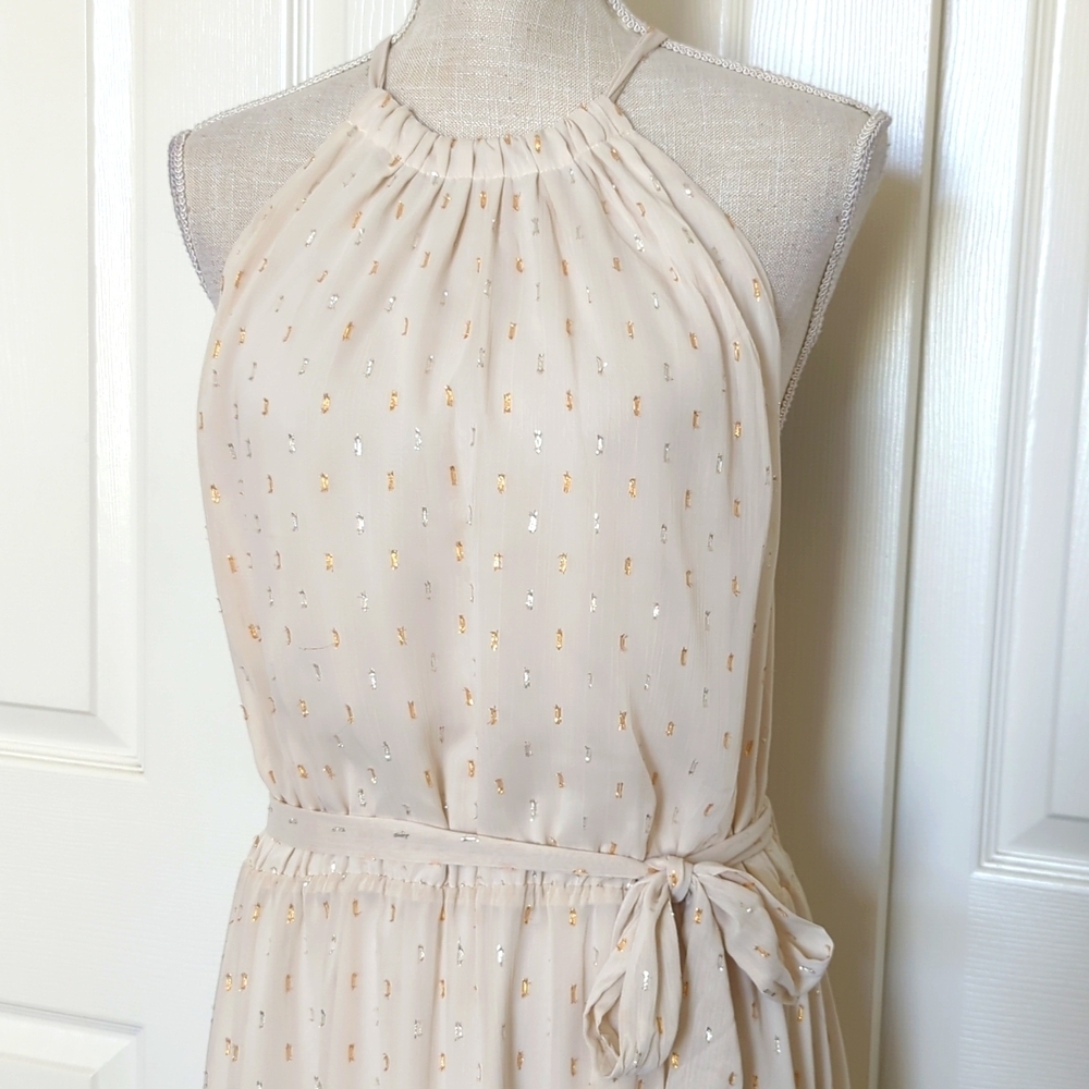 ModCloth Illuminated Elegance Chiffon Maxi Dress in Ivory - Picture 8 of 12